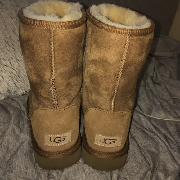 Short Ugg’s - Picture 3 of 4